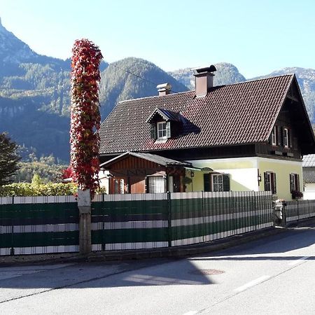 Haus Fratnik Leilighet Obertraun Eksteriør bilde