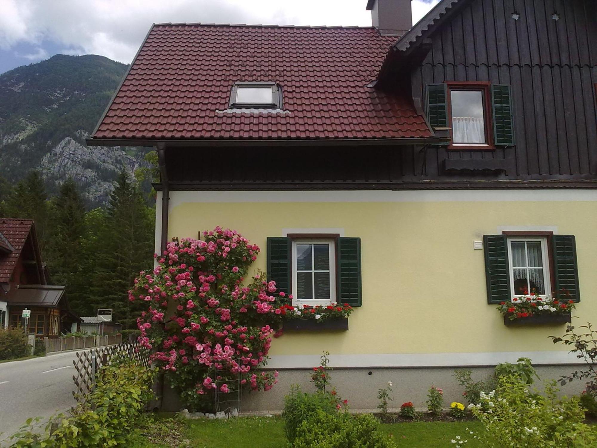 Haus Fratnik Leilighet Obertraun Eksteriør bilde